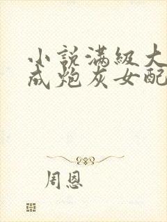 小说满级大佬穿成炮灰女配