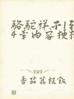 骆驼祥子1到24章内容梗概