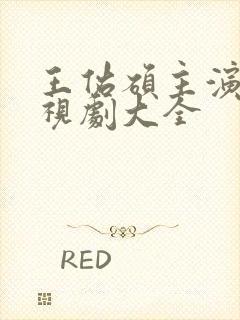 王佑硕主演的电视剧大全