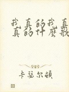 我真的我真的我真的什么歌的歌词