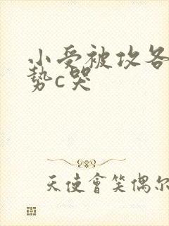 小受被攻各种姿势c哭