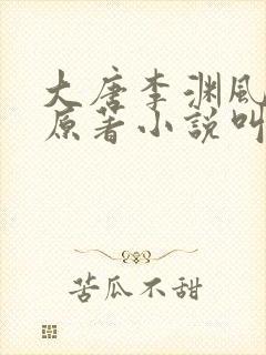 大唐李渊风流录原著小说叫什么名字