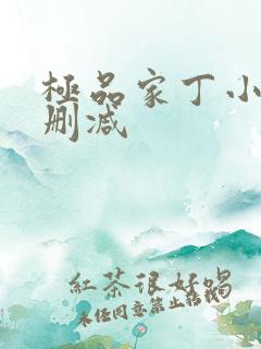 极品家丁小说无删减