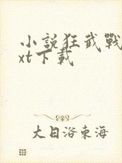 小说狂武战帝txt下载