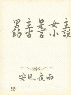 男主是女主舅舅的古言小说