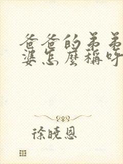 爸爸的弟弟的老婆怎么称呼