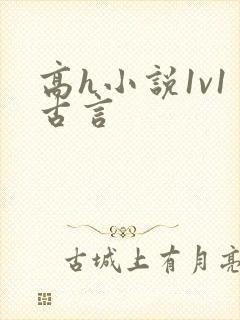高h小说1v1古言