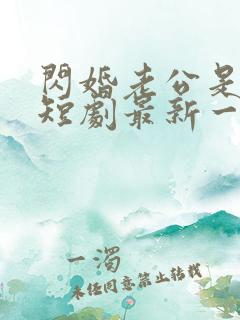 闪婚老公是总裁短剧最新一集