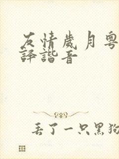 友情岁月粤语翻译谐音