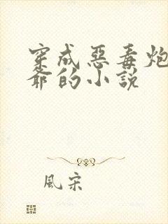 穿成恶毒炮灰少爷的小说