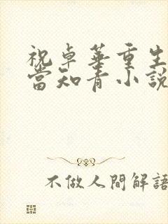 祝卓华重生下乡当知青小说