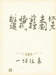 离婚前夫终是想追我短剧免费观看