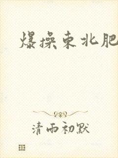 爆操东北肥熟女