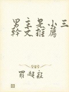 男主是小三的高干文推荐