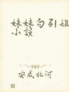 妹妹勾引姐夫的小说