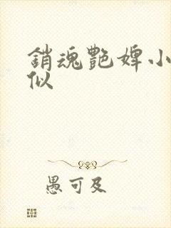 销魂艳婢小说类似