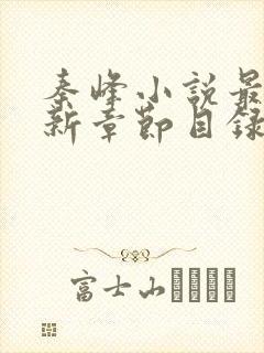 秦峰小说最新更新章节目录