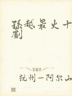 孙越最火十部短剧