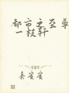 都市之至尊战神 一枝轩