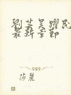 刘芸吴跃民小说最新章节