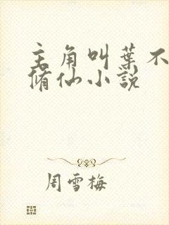 主角叫叶不凡的修仙小说