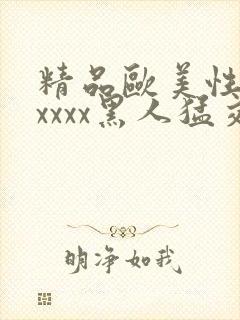 精品欧美性猛交xxxx黑人猛交