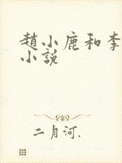 赵小鹿和李叔的小说
