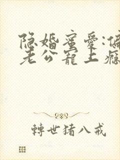 隐婚蜜爱:偏执老公宠上瘾下载txt