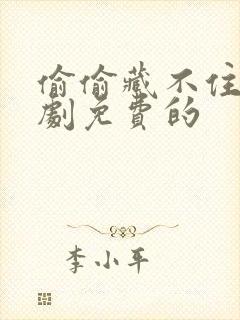 偷偷藏不住电视剧免费的