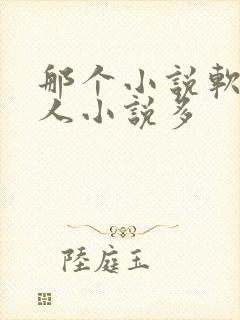 那个小说软件同人小说多