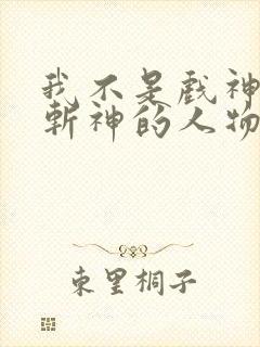 我不是戏神中有斩神的人物吗