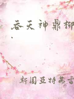 吞天神鼎柳无邪.