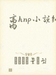 高hnp小说纯肉