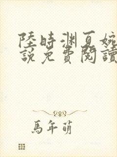 陆时渊夏婉婷小说免费阅读最新章节