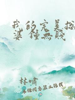 我的完美总裁老婆 钟无贱