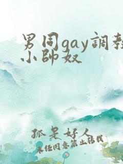 男同gay调教小帅奴