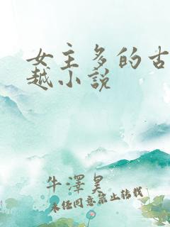女主多的古代穿越小说