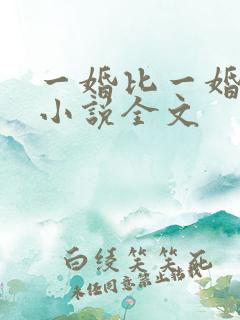一婚比一婚还高小说全文