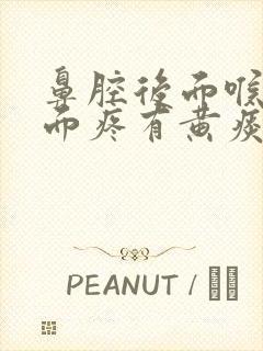 鼻腔后面喉咙上面疼有黄痰