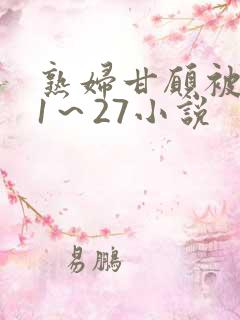 熟妇甘愿被调教1～27小说