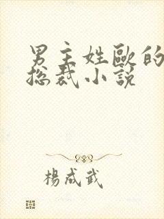 男主姓欧的霸道总裁小说