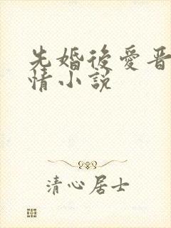 先婚后爱晋江言情小说