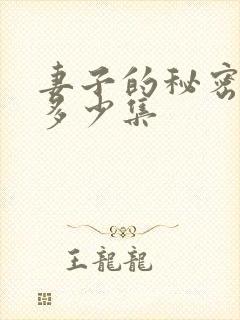 妻子的秘密一共多少集