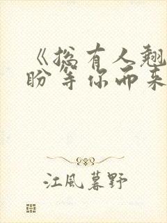 《总有人翘首以盼等你而来》小说