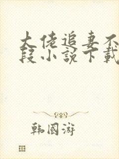 大佬追妻不择手段小说下载txt