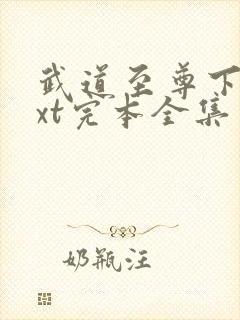 武道至尊下载txt完本全集