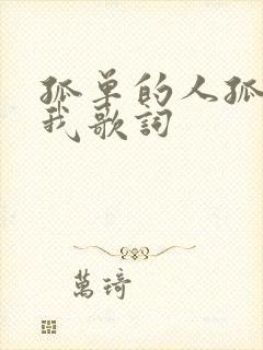 孤单的人孤单的我歌词