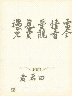 遇见爱情电视剧免费观看全集高清