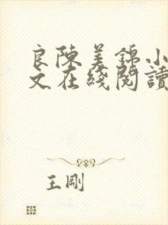 良陈美锦小说全文在线阅读