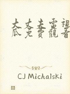 大丈夫电视剧西瓜免费观看全集